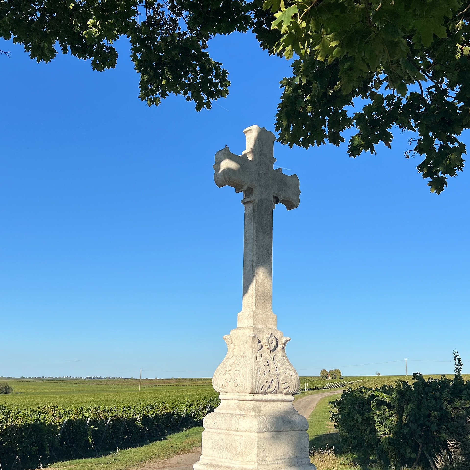 Gemeinde Friesenheim